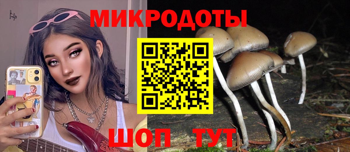 Псилоцибиновые грибы Magic Shrooms  Вход с VPN  Жигулёвск  Псилоцибиновые грибы Cubensis 
